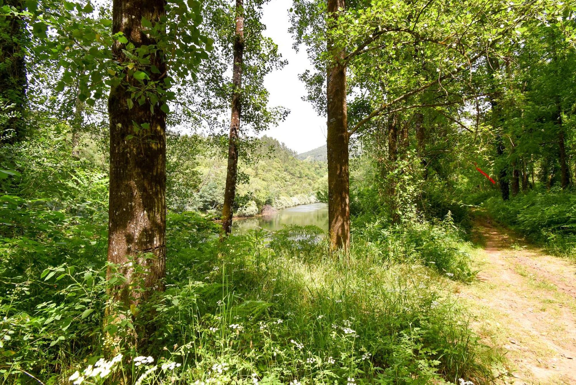 Farm stay Moinhos Do Paiva *