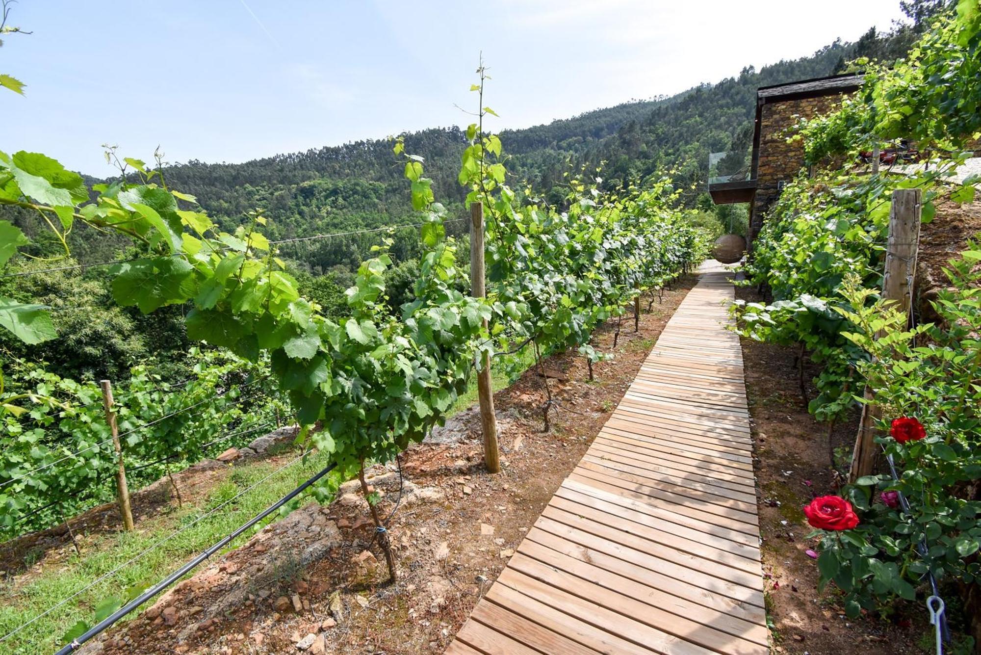 Farm stay Moinhos Do Paiva Castelo de Paiva