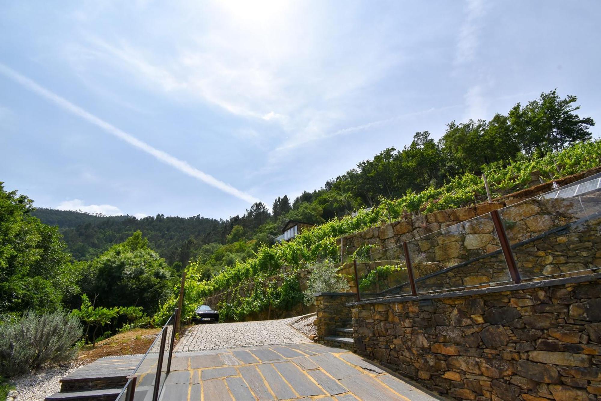 Moinhos Do Paiva Farm stay